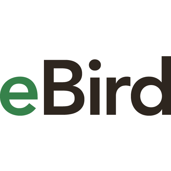 eBird